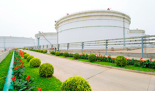 开云官方网页版