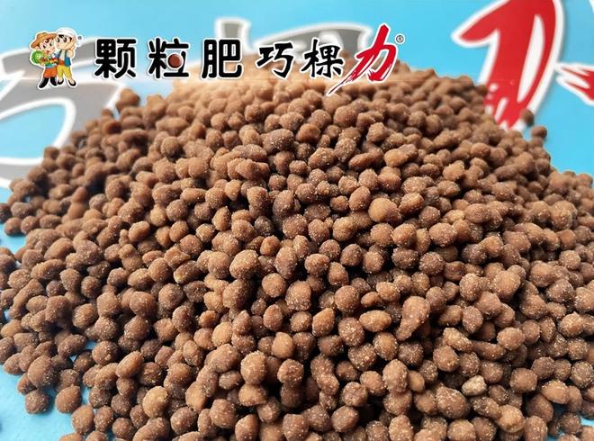 开云官方-颗粒水溶肥的诞生与发展历程揭秘