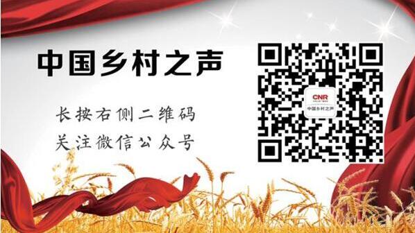 kaiyun官方-肥料袋上的NPK、TE等字母都是什么意思？看不懂容易吃大亏！