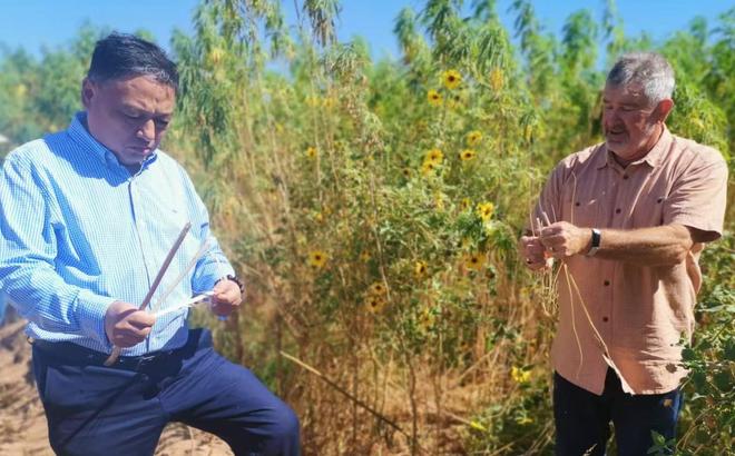 kaiyun官方-以微生物肥料技术破局盐碱地治理赋能全球土壤健康与粮食安全