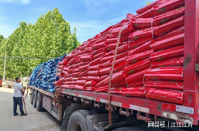 开云官方-老农执意选贵肥 秋收亩产增百斤