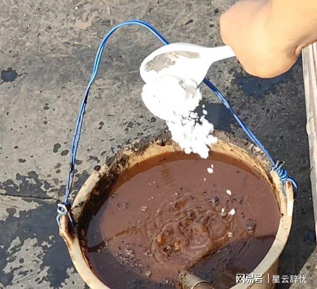 kaiyun官方-农家肥搭配秘诀曝光 种菜省钱又高产